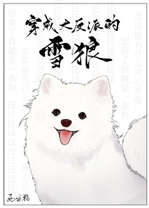 After the snow wolf dressed as the villain
